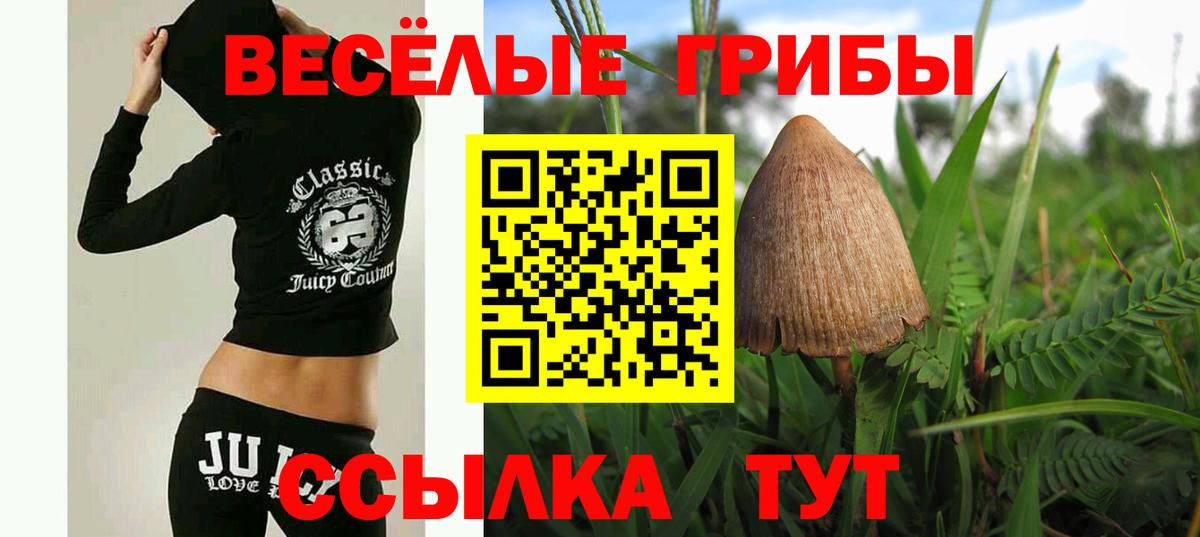 Галлюциногенные грибы MAGIC MUSHROOMS Вятские Поляны